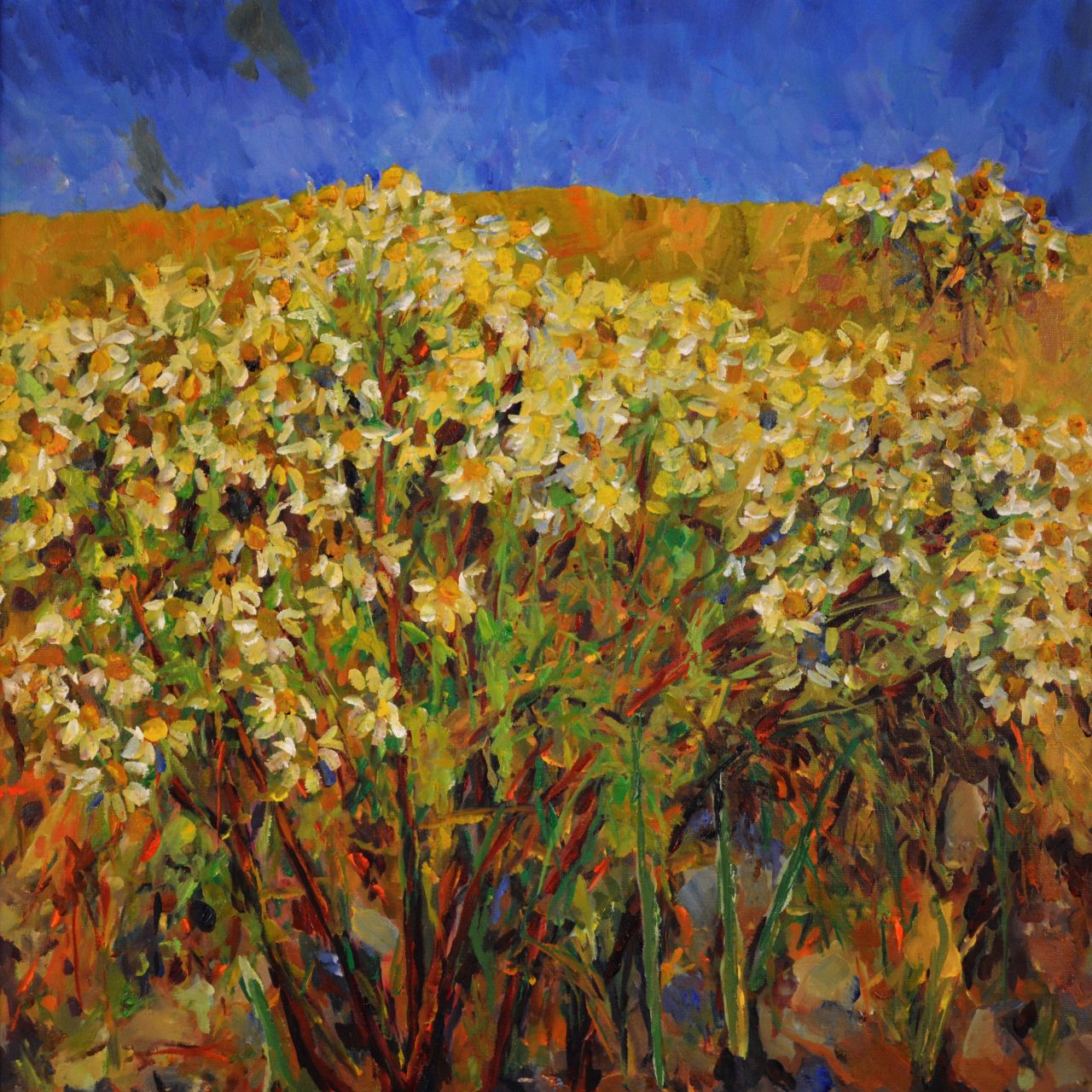 Feldstück Raps und Margeritten Ölgemälde