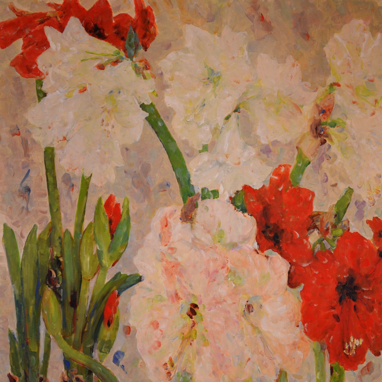 Amaryllis II Ölgemälde