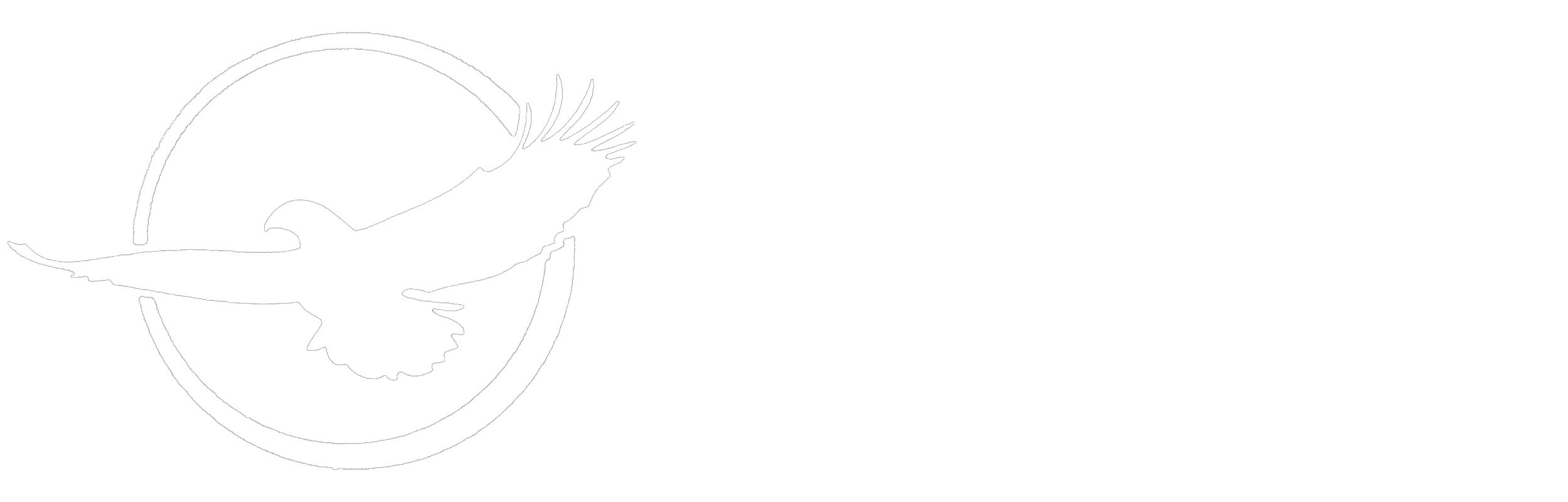 Sonja Lassig Logo